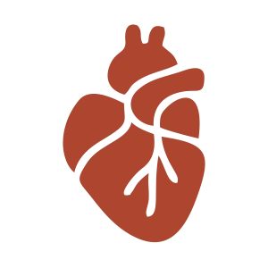 Bylinkové čaje podľa orgánov