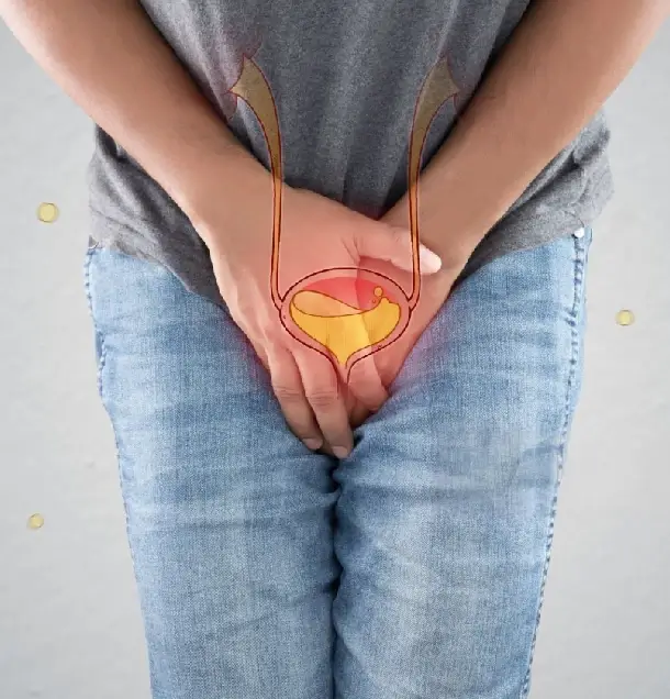 Najlepšie bylinky na časté močenie: Ktoré sú to a ako dokážu pomôcť?