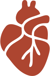 Bylinkové čaje na srdce