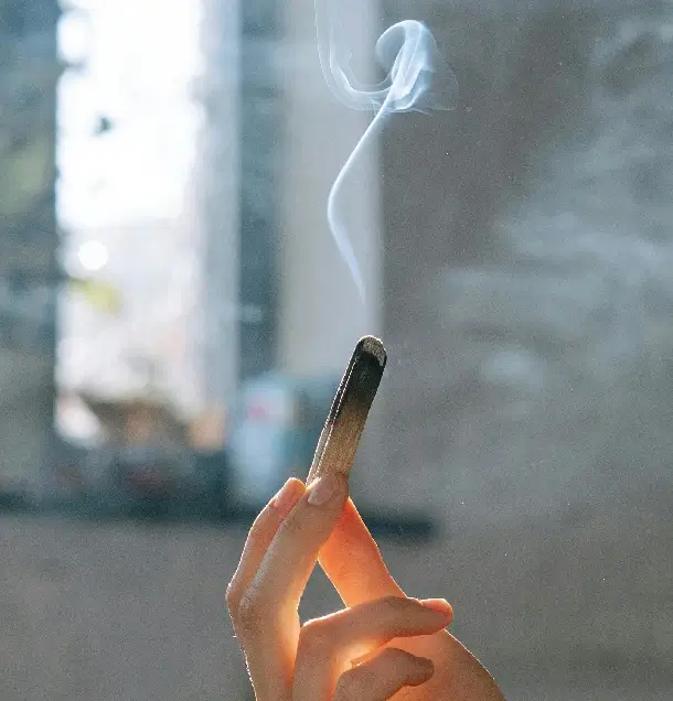 Vydymovadlo Palo Santo