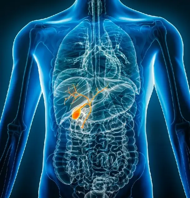 Bylinky na žlčník