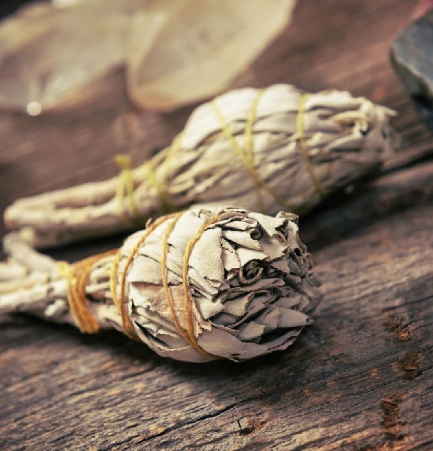 Biela Šalvia fakľa