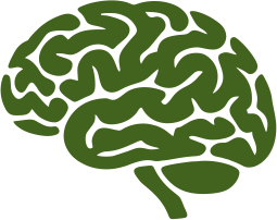 Bylinkové čaje na pamäť a sústredenie