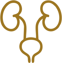 Bylinkové čaje na močové cesty