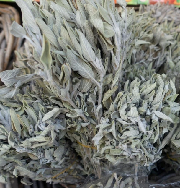 Vydymovanie Biela Šalvia