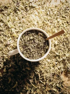 Medovka lekárska - bylinný čaj, BIO kvalita, 100g