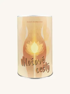 Aura Tea - Močové cesty, bylinná čajová zmes