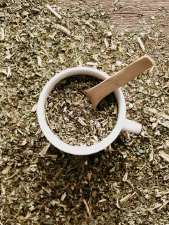 Pamajorán obyčajný - bylinný čaj, BIO kvalita, 100g