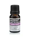 Ylang Ylang