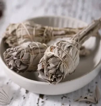 Vydymovanie Šalviou očistí priestor aj energie: Aká je história tohto rituálu?