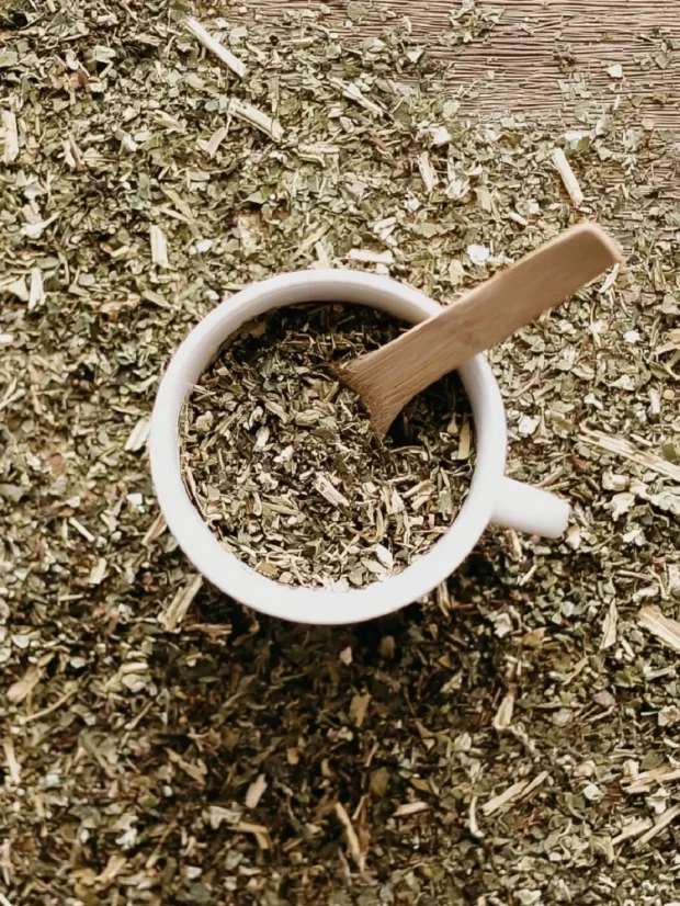 Pamajorán obyčajný - bylinný čaj, BIO kvalita, 100g