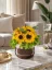 Mydlový flower box Aura Decor, hnedý so zlatým lemom, slnečnice