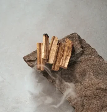 Palo Santo: Čo to je, aké má vlastnosti a prečo ho používame pri vydymovaní?