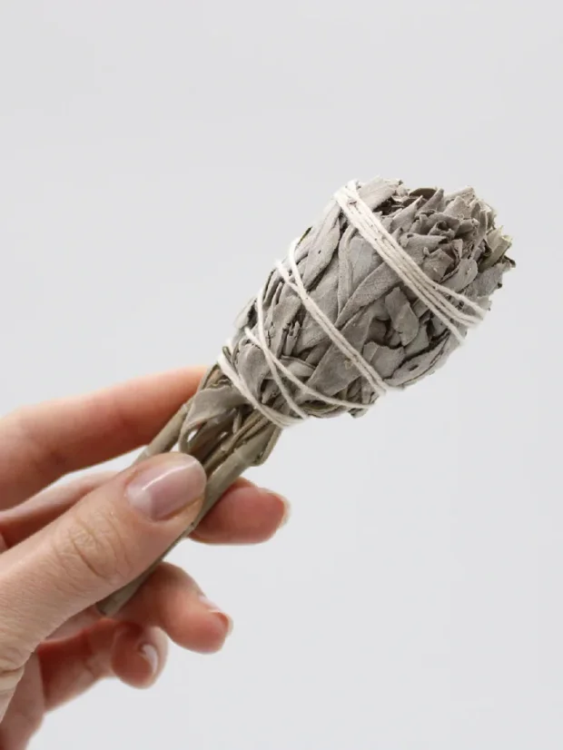 Vydymovací zväzok, fakľa, Biela Šalvia, dĺžka 10cm