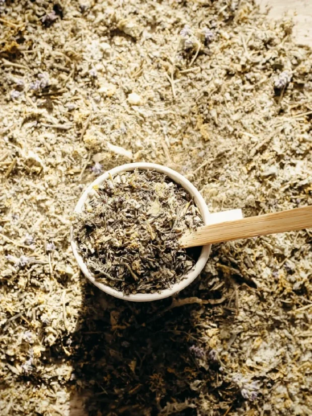 Šalvia lekárska - bylinný čaj, BIO kvalita, 100g