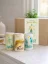 Aura Tea - Jarný detox, sada 3 bylinných čajov