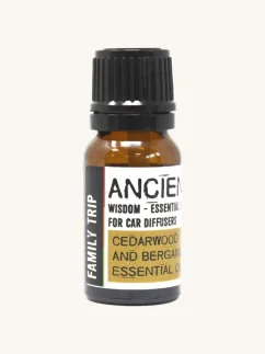 Esenciálny olej pre aroma difuzér do auta, 10ml, aromaterapeutická zmes Rodinný výlet