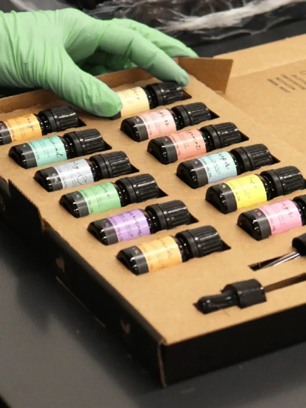 Aromaterapeutická sada esenciálnych olejov, 12x5ml, darčekové balenie
