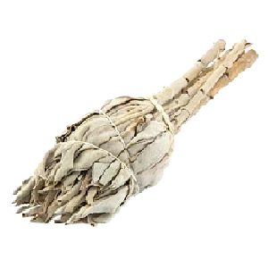 Vydymovadlo Biela Šalvia