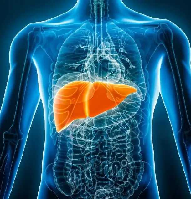 Detoxikácia pečene