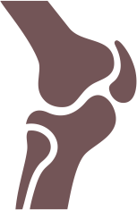 Bylinkové čaje na kosti a kĺby