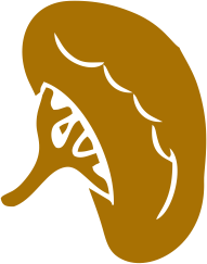 Bylinkové čaje na slezinu