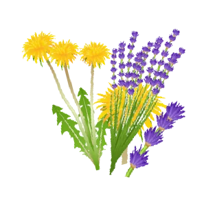 Bylinkové čaje podľa bylín