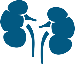 Bylinkové čaje na obličky