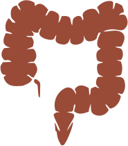 Bylinkové čaje na hrubé črevo