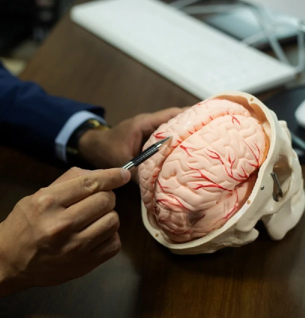 Bylinky na prekrvenie mozgu