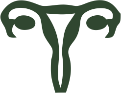 Bylinkové čaje na maternicu