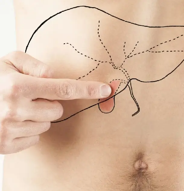 Žlčník pečeň poloha