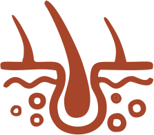 Bylinkové čaje na zdravú pokožku