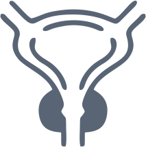 Bylinkové čaje na prostatu