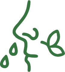 Bylinkové čaje na alergie