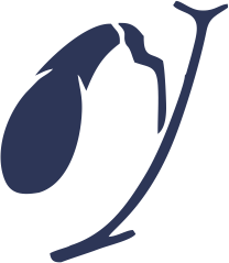 Bylinkové čaje na žlčník