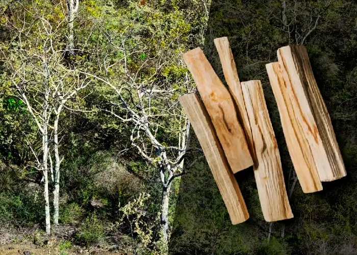 Vydymovací set s Palo Santo