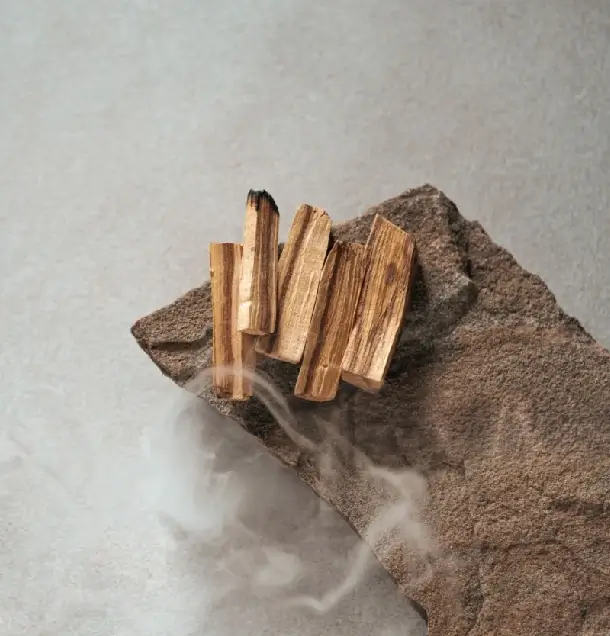 Palo Santo: Čo to je, aké má vlastnosti a prečo ho používame pri vydymovaní?